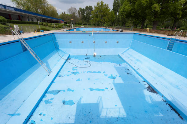 Best Water damage restoration mold remediation  in Rural Hill, TN
