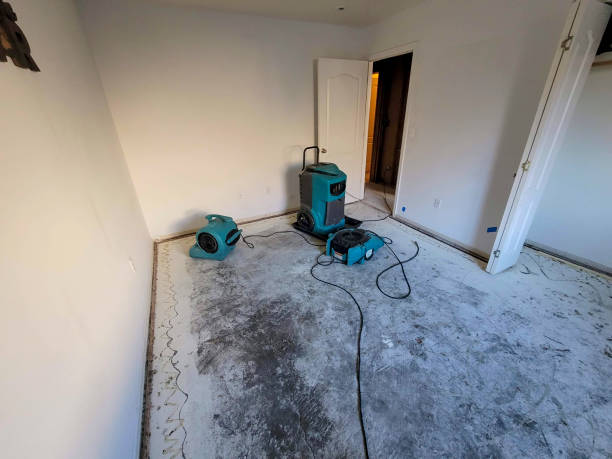 Best Water damage restoration near me  in Rural Hill, TN