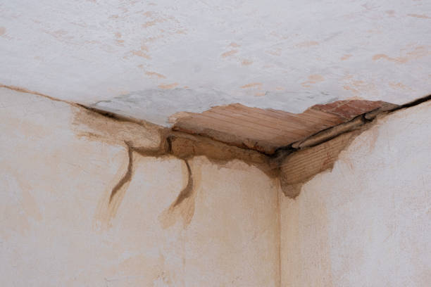 Carpet water damage restoration in TN