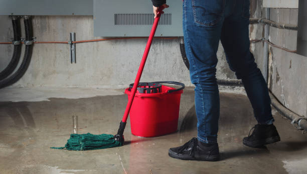 Best Sewage cleanup and water damage restoration  in Rural Hill, TN