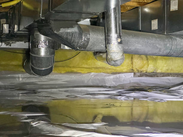 Best Local water damage restoration  in Rural Hill, TN